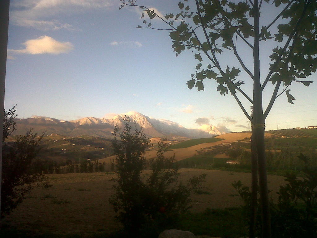 Penne Agriturismo Cignale מראה חיצוני תמונה