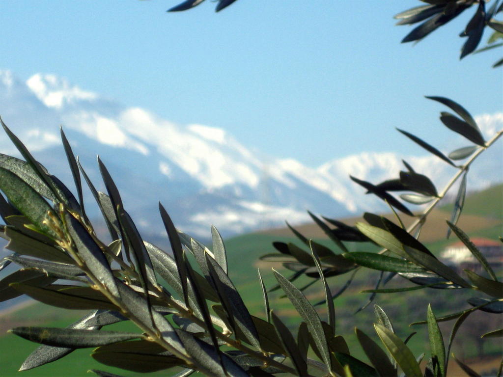 Penne Agriturismo Cignale מראה חיצוני תמונה