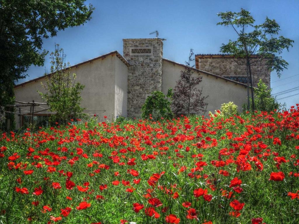 Penne Agriturismo Cignale מראה חיצוני תמונה