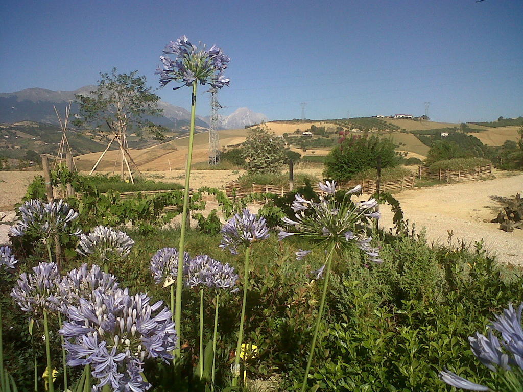 Penne Agriturismo Cignale מראה חיצוני תמונה