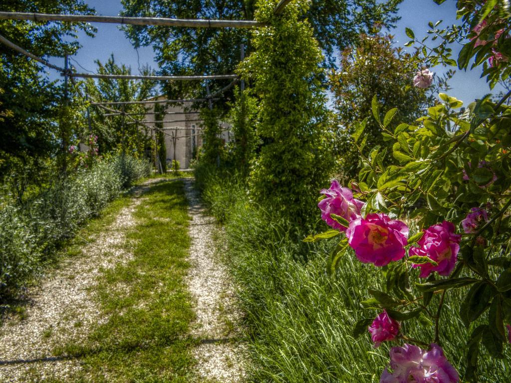 Penne Agriturismo Cignale מראה חיצוני תמונה