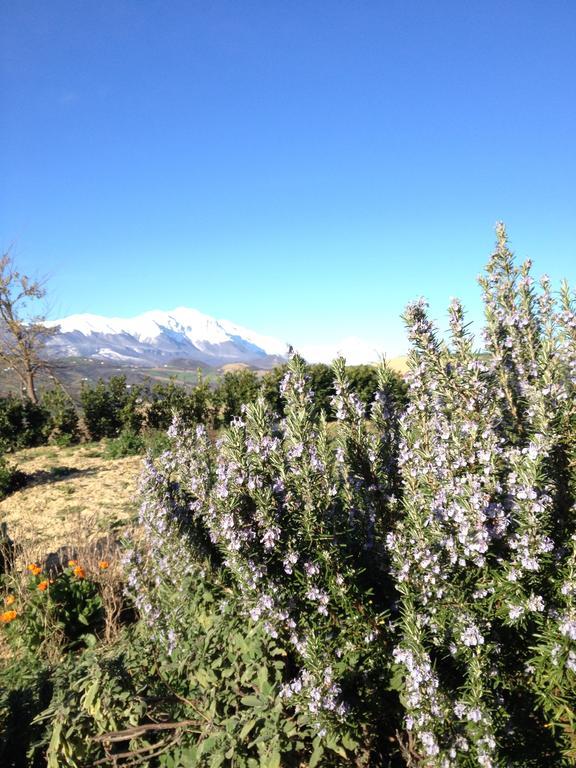Penne Agriturismo Cignale מראה חיצוני תמונה