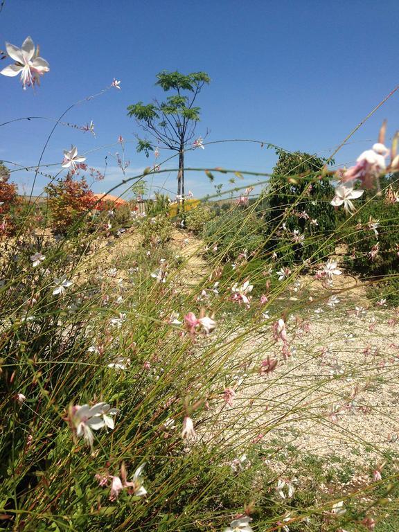 Penne Agriturismo Cignale מראה חיצוני תמונה