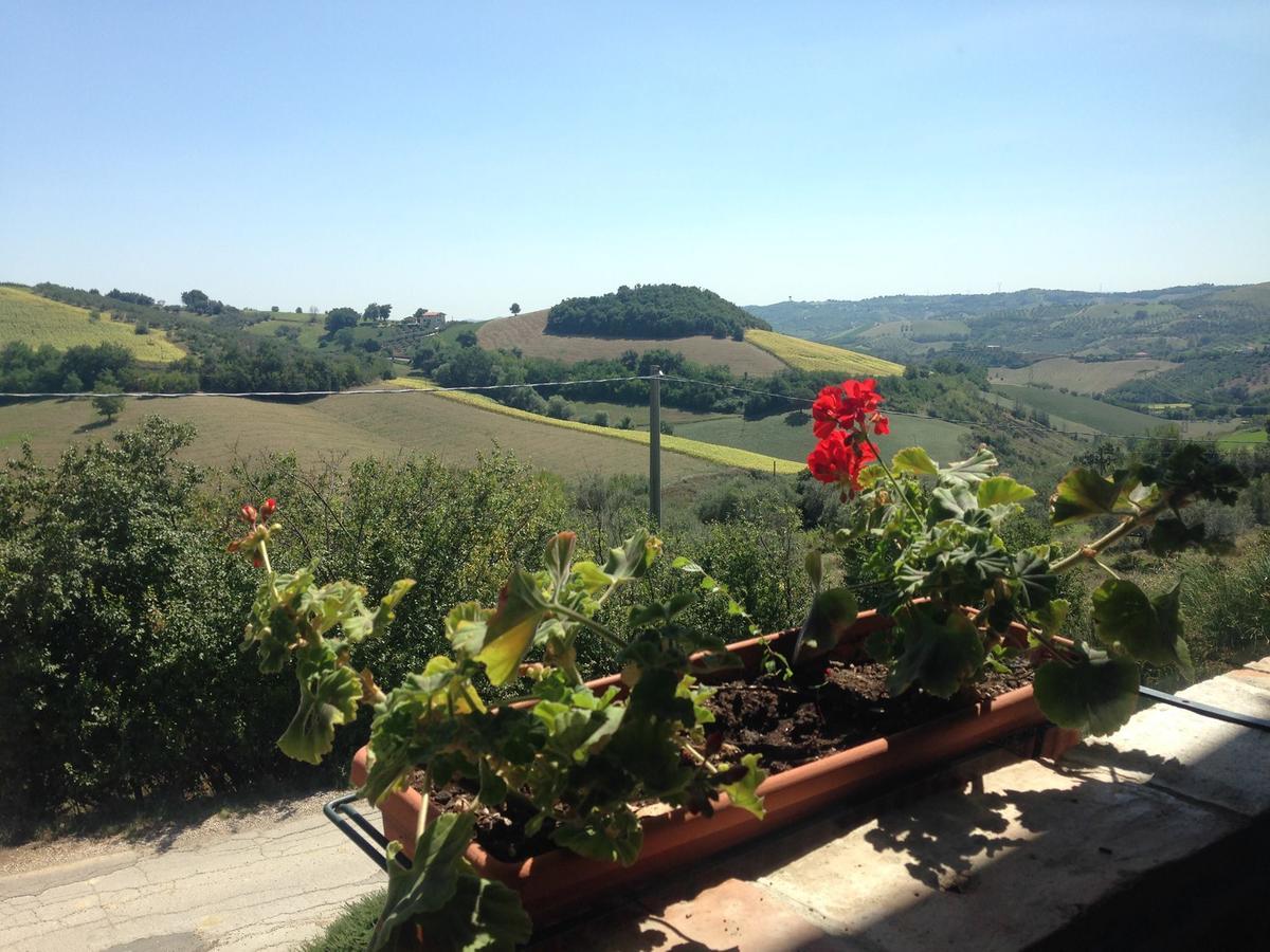 Penne Agriturismo Cignale מראה חיצוני תמונה