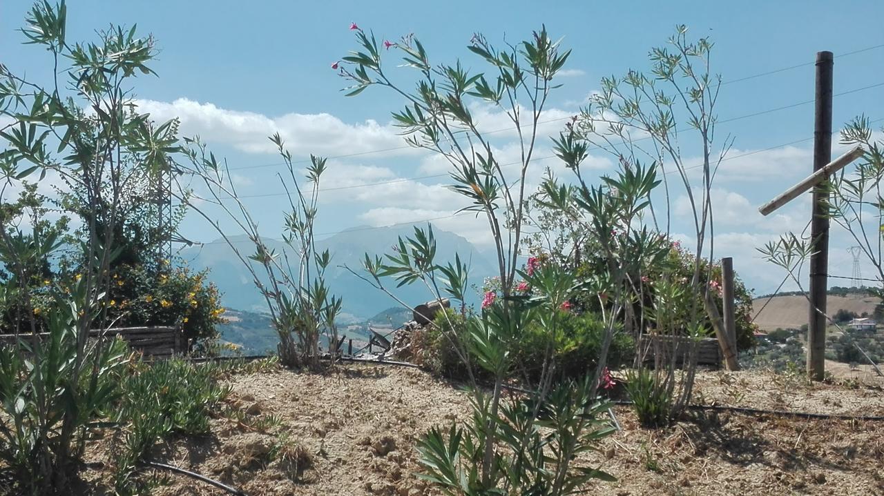 Penne Agriturismo Cignale מראה חיצוני תמונה