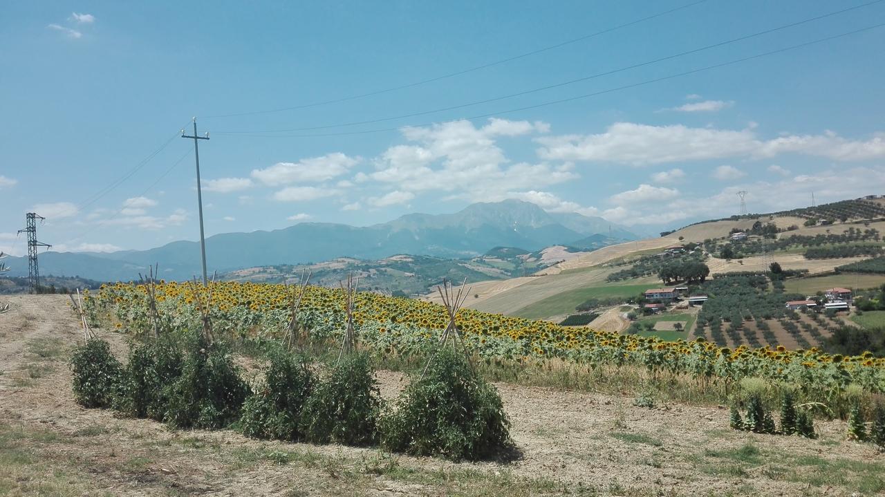 Penne Agriturismo Cignale מראה חיצוני תמונה