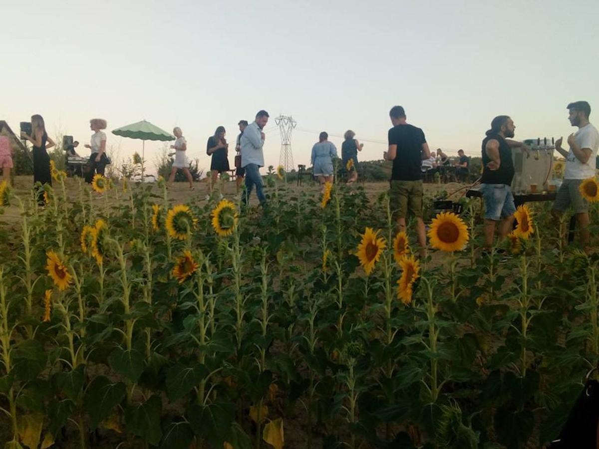 Penne Agriturismo Cignale מראה חיצוני תמונה