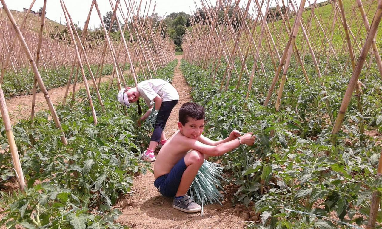 Penne Agriturismo Cignale מראה חיצוני תמונה